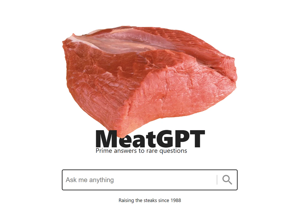 MeatGPT webpage showing a large cut of raw meat above the “MeatGPT” logo, an “Ask me anything” search box, and the tagline “Prime answers to rare questions.”